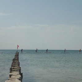 Einmal Seebrücke und zurück